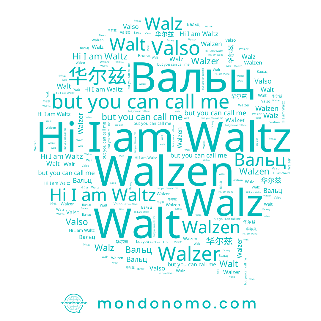 name 华尔兹, name Вальц, name Waltz, name Walz, name Walzer, name Valso, name Walt