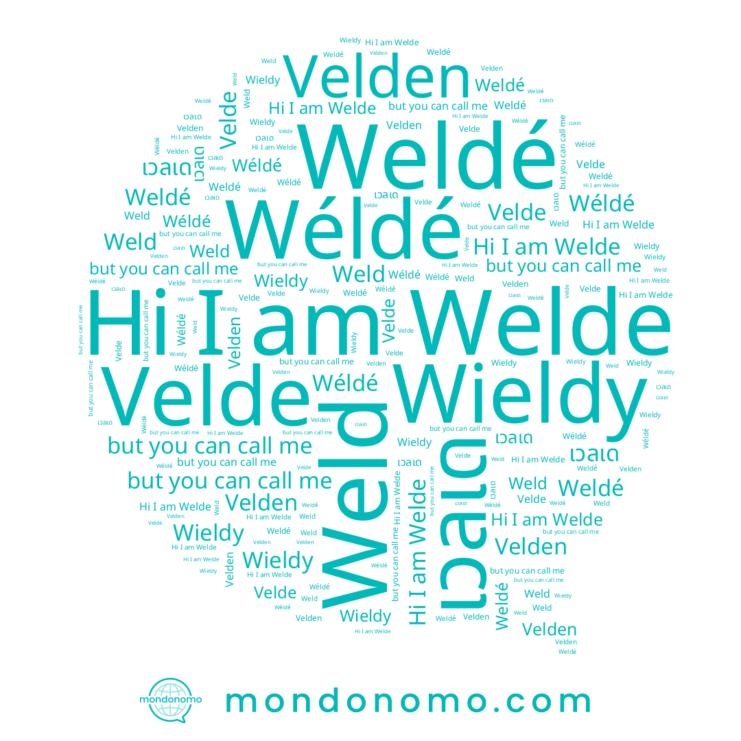 name Wieldy, name Wéldé, name Welde, name Weldé, name Weld, name เวลเด, name Velde, name Velden