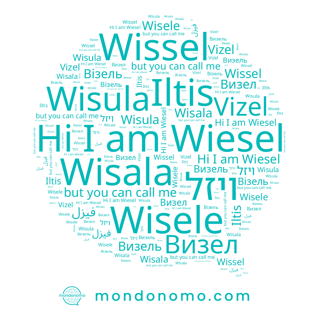 name Wisula, name Wisele, name Wiesel, name Візель, name Визель, name Wisala, name Iltis, name ויזל, name Vizel, name Визел, name فيزل, name Wissel