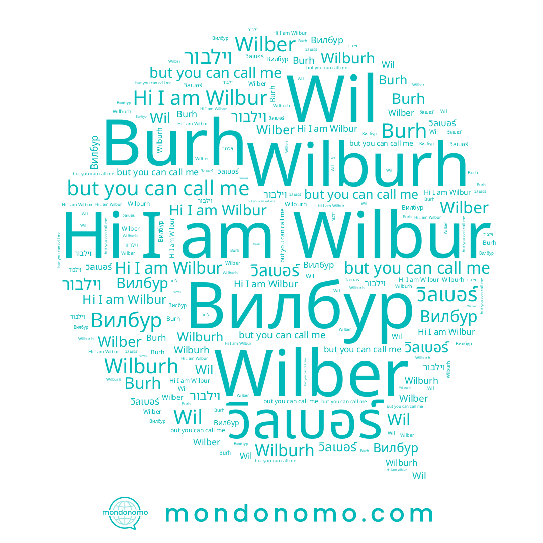 name וילבור, name Wilber, name Wil, name Burh, name Wilbur, name Вилбур, name Wilburh, name วิลเบอร์