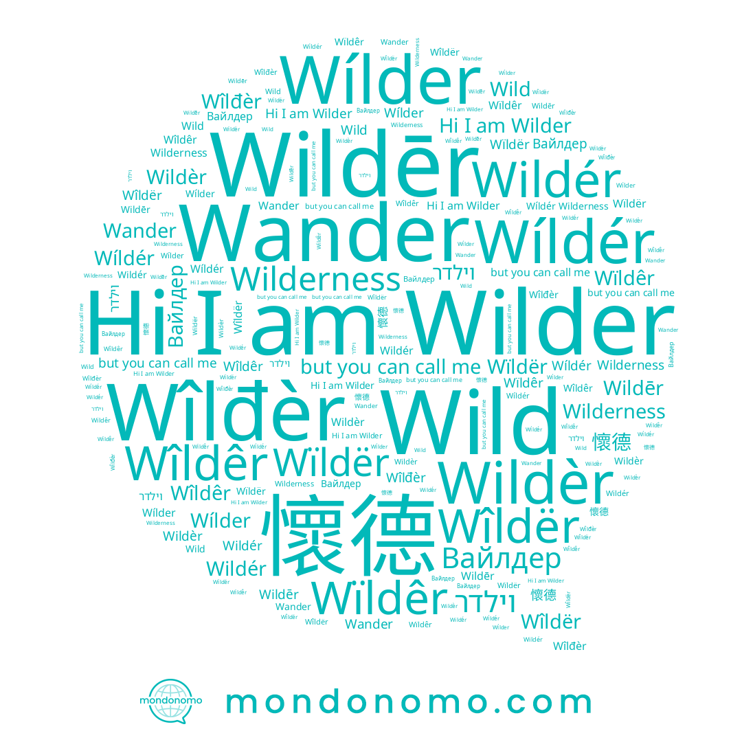 name Wander, name Wíldér, name Wílder, name Wild, name Wildèr, name Wîlđèr, name Wîldër, name Wildēr, name Wïldêr, name 懷德, name Wilder, name Wïldër, name Wilderness, name Wîldêr, name Wildér, name Вайлдер