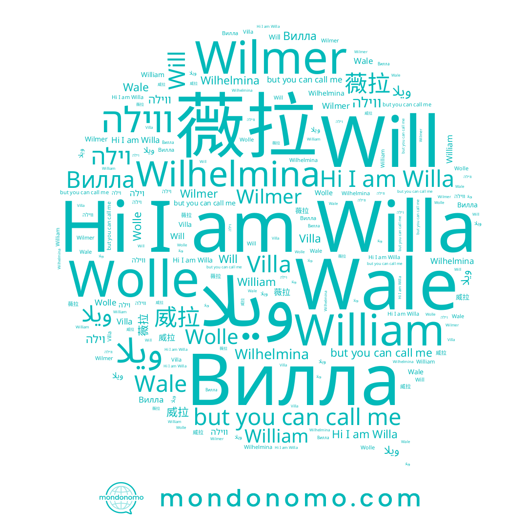 name Will, name ويلا, name 威拉, name Wolle, name Villa, name וילה, name Wilhelmina, name Willa, name 薇拉, name Wale, name Wilmer, name William