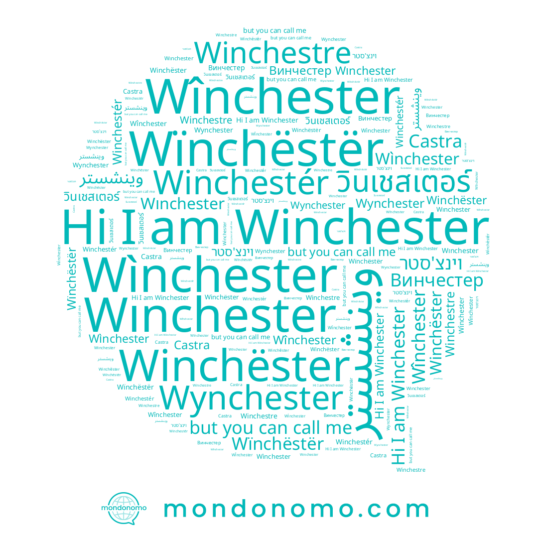 name วินเชสเตอร์, name Winchestre, name Winchester, name Castra, name Wìnchester, name Wınchester, name Winchëster, name Winchestér, name Wïnchëstër, name Wynchester, name Винчестер, name וינצ'סטר, name Wînchester