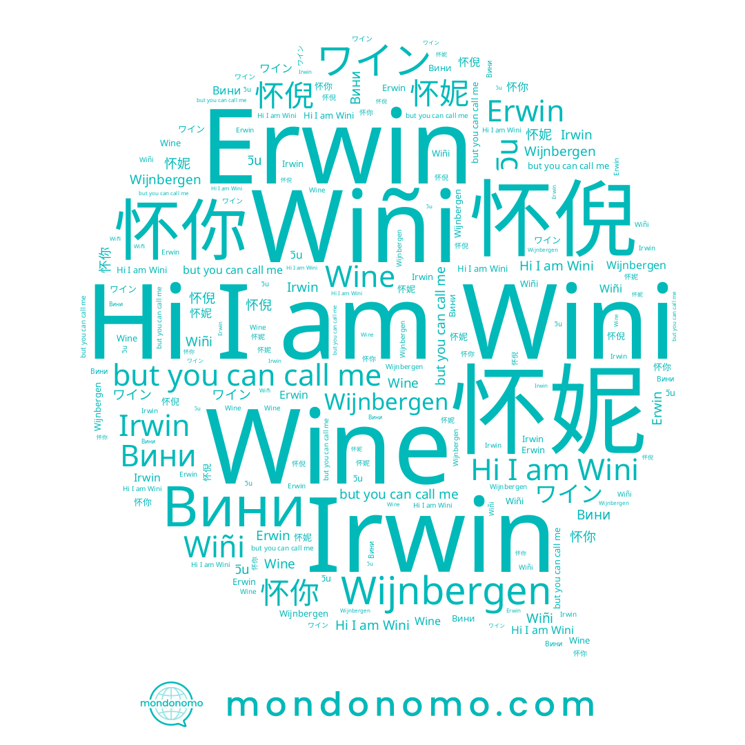 name Erwin, name 怀妮, name Wini, name Irwin, name Wine, name ワイン, name Wiñi, name วิน, name Wijnbergen, name 怀倪, name 怀你