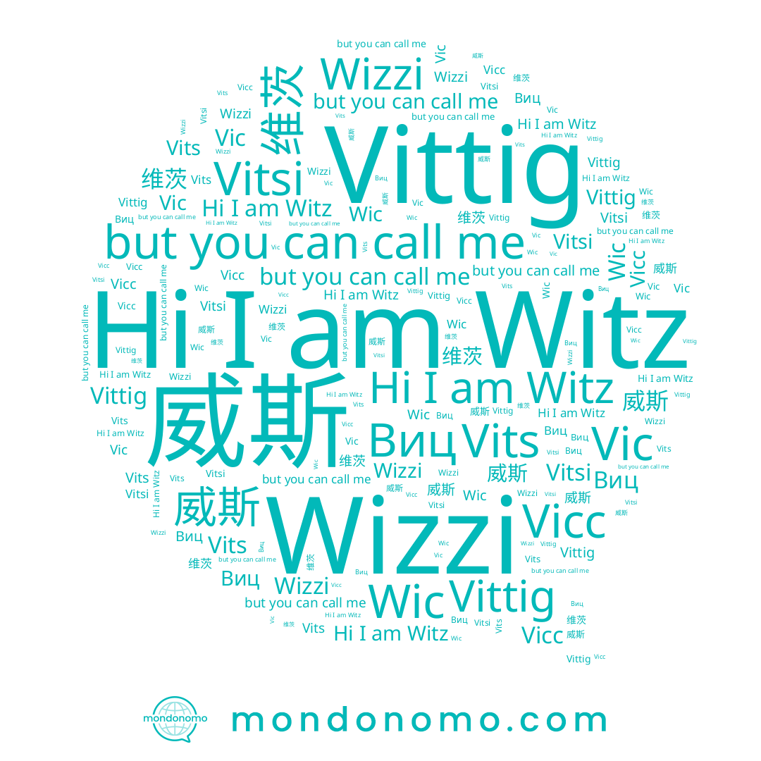 name 威斯, name Wizzi, name Виц, name Vicc, name Vic, name Vits, name Vitsi, name 维茨, name Witz, name Vittig