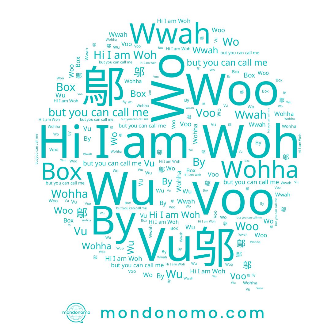 name Vu, name Woo, name Voo, name Wwah, name Вох, name 邬, name Wo, name Wu, name Ву, name Woh, name 鄔, name Wohha