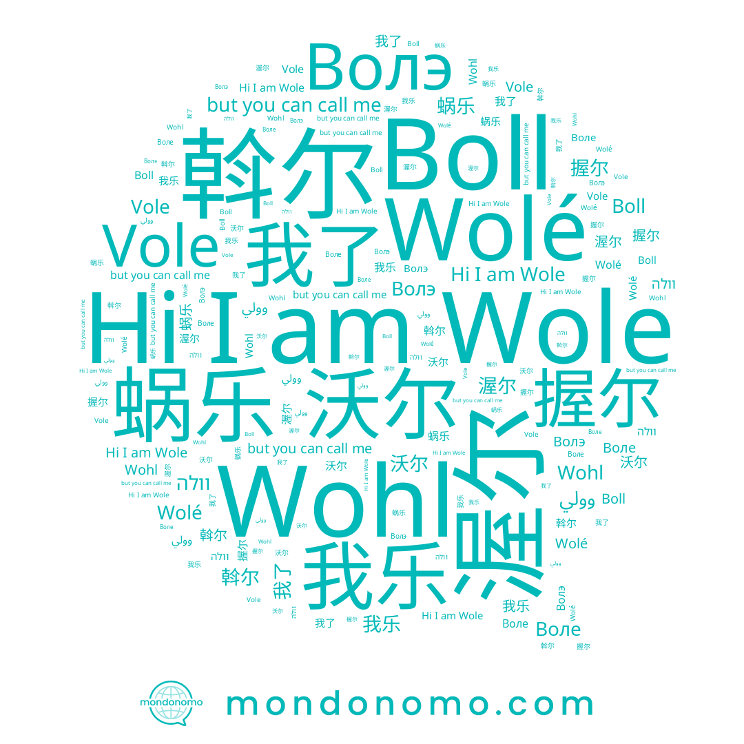 name 渥尔, name 我了, name 握尔, name Волэ, name Wolé, name 斡尔, name Boll, name Воле, name 沃尔, name Wole, name וולה, name 我乐, name Vole, name 蜗乐, name Wohl