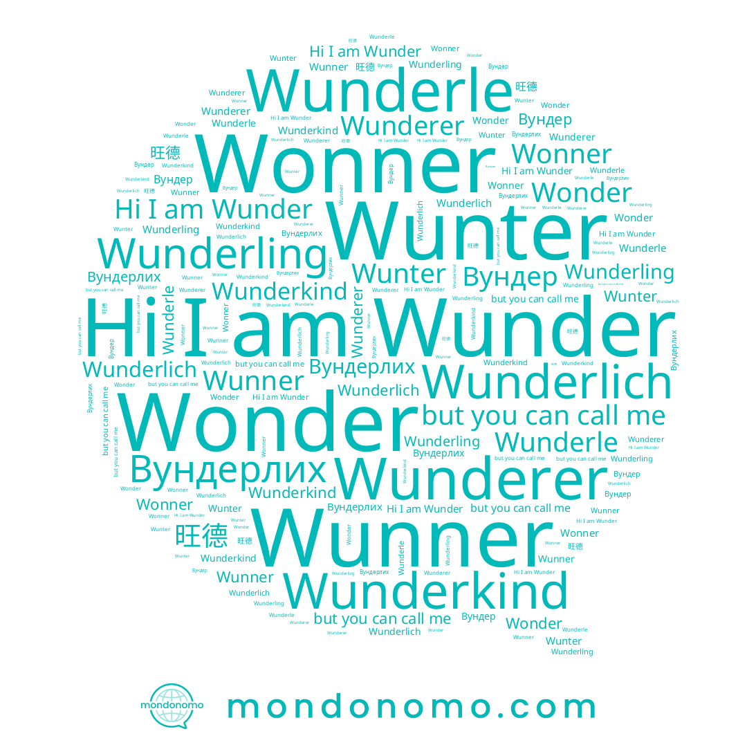name Wunderling, name Wonner, name Wunderle, name 旺德, name Wunder, name Вундер, name Wunderlich, name Wunter, name Wunderer, name Wunner, name Вундерлих, name Wonder