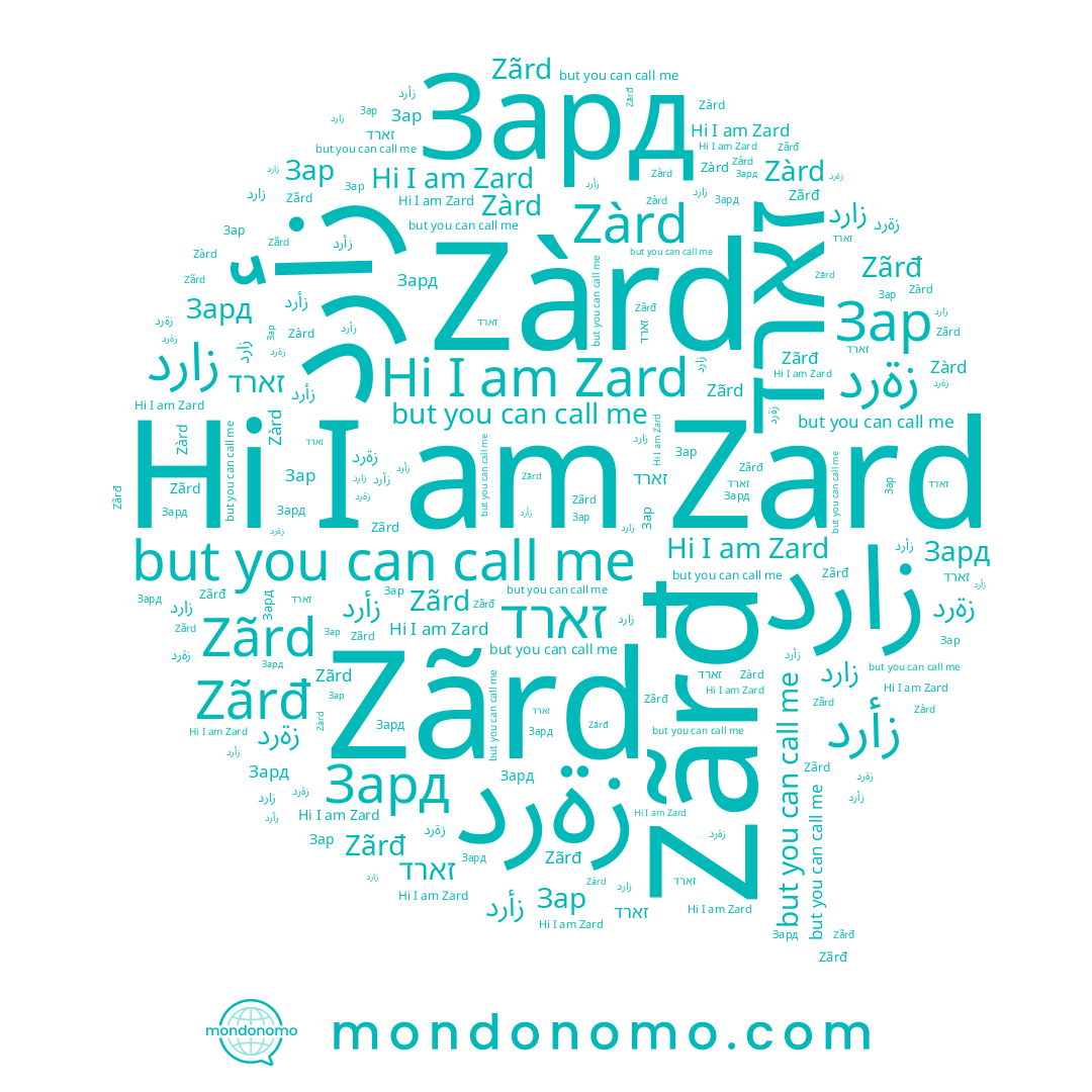 name זארד, name Зард, name Zãrd, name Zãrđ, name زةرد, name Zàrd, name Зар, name زأرد, name Zard, name زارد