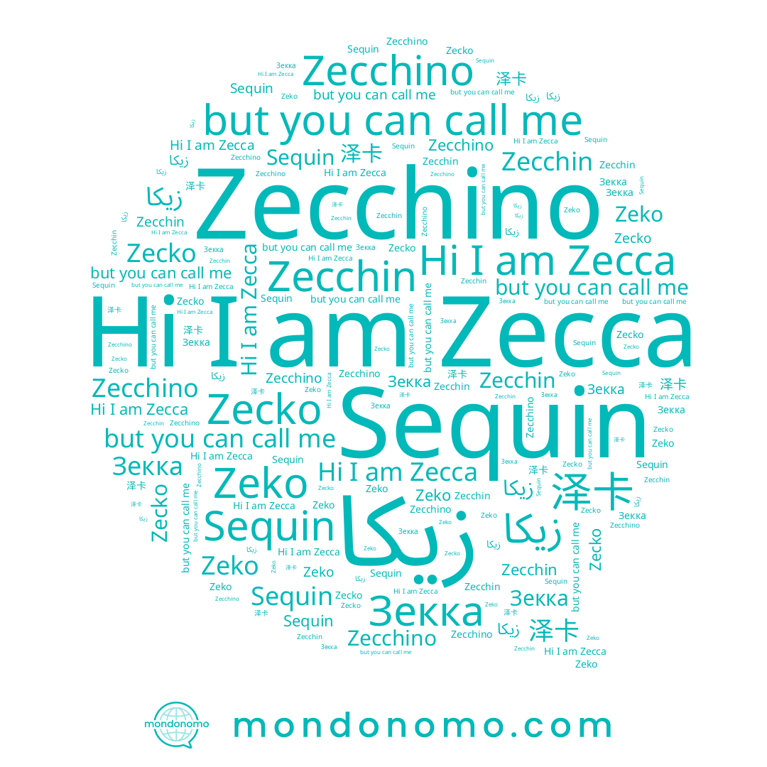name Zecchino, name Sequin, name Zecko, name Зекка, name Zecca, name Zeko, name Zecchin