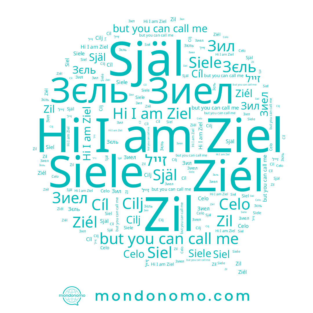 name Зил, name Ziél, name Зиел, name Зєль, name Siel, name Cíl, name Siele, name זייל, name Celo, name Ziel