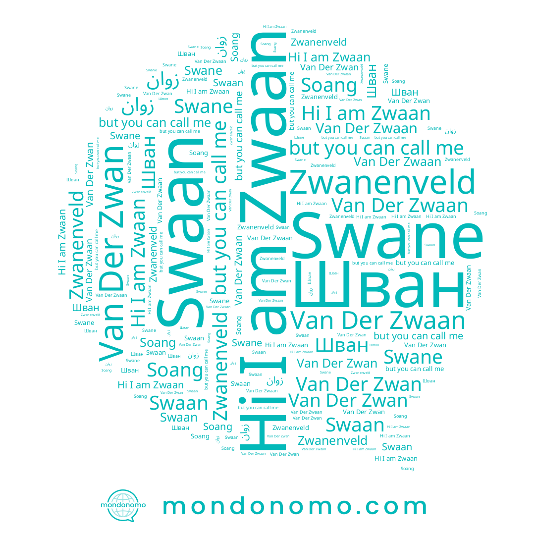 name Swane, name Soang, name زوان, name Zwanenveld, name Van Der Zwan, name Swaan, name Шван, name Van Der Zwaan, name Zwaan