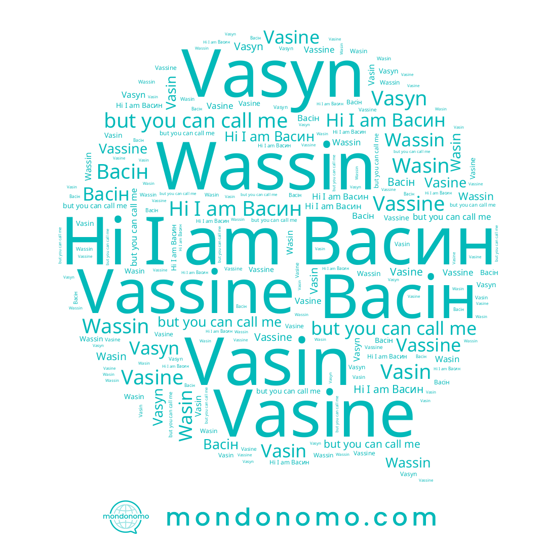 name Васин, name Wasin, name Vasine, name Васін, name Wassin, name Vasyn, name Vasin, name Vassine
