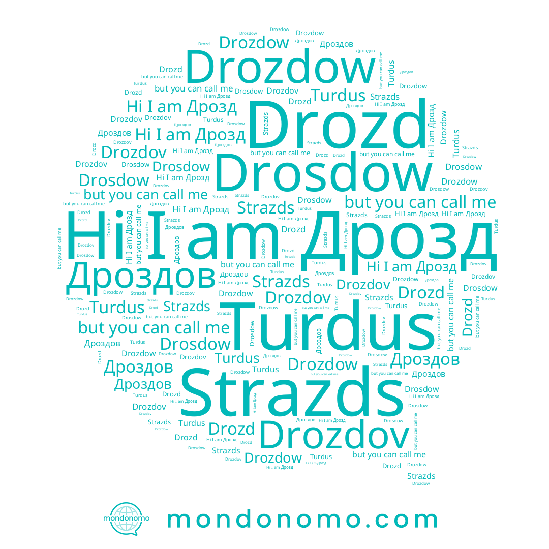 name Drozdov, name Дрозд, name Drosdow, name Drozd, name Дроздов, name Drozdow, name Strazds