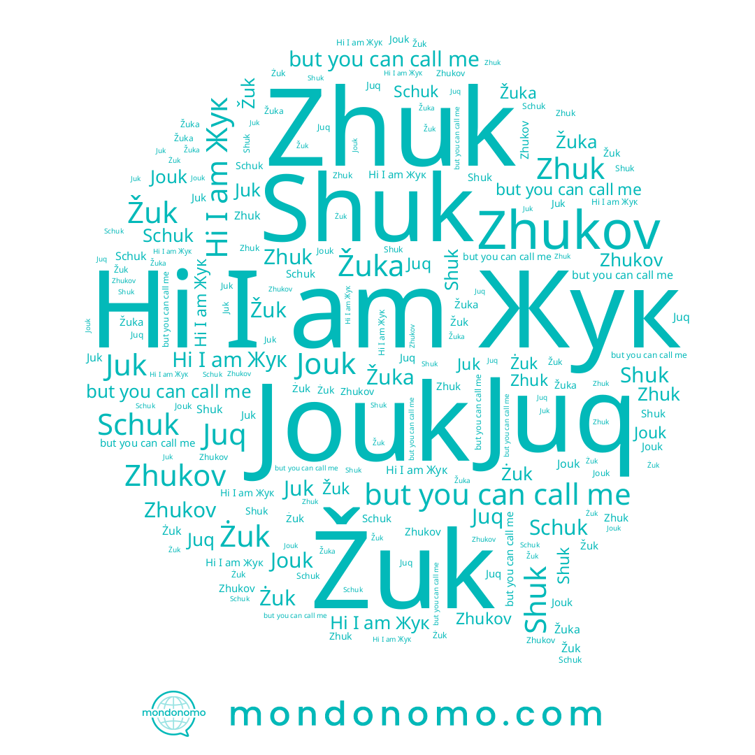 name Schuk, name Żuk, name Shuk, name Žuka, name Juk, name Zhuk, name Žuk, name Жук, name Juq, name Zhukov, name Jouk