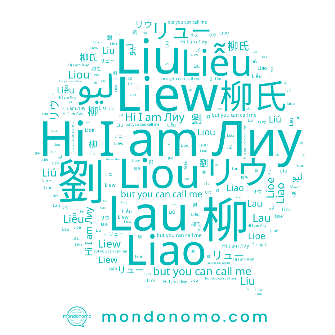 name Liou, name ليو, name Lau, name Liew, name 劉, name Liú, name 柳氏, name Lioe, name Liu, name Liễu, name リュー, name Лиу, name Liao, name リウ, name 柳