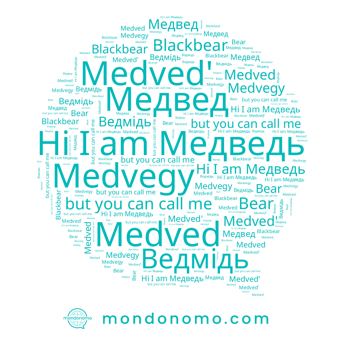 name Ведмідь, name Blackbear, name Medvegy, name Bear, name Медведь, name Медвед, name Medved