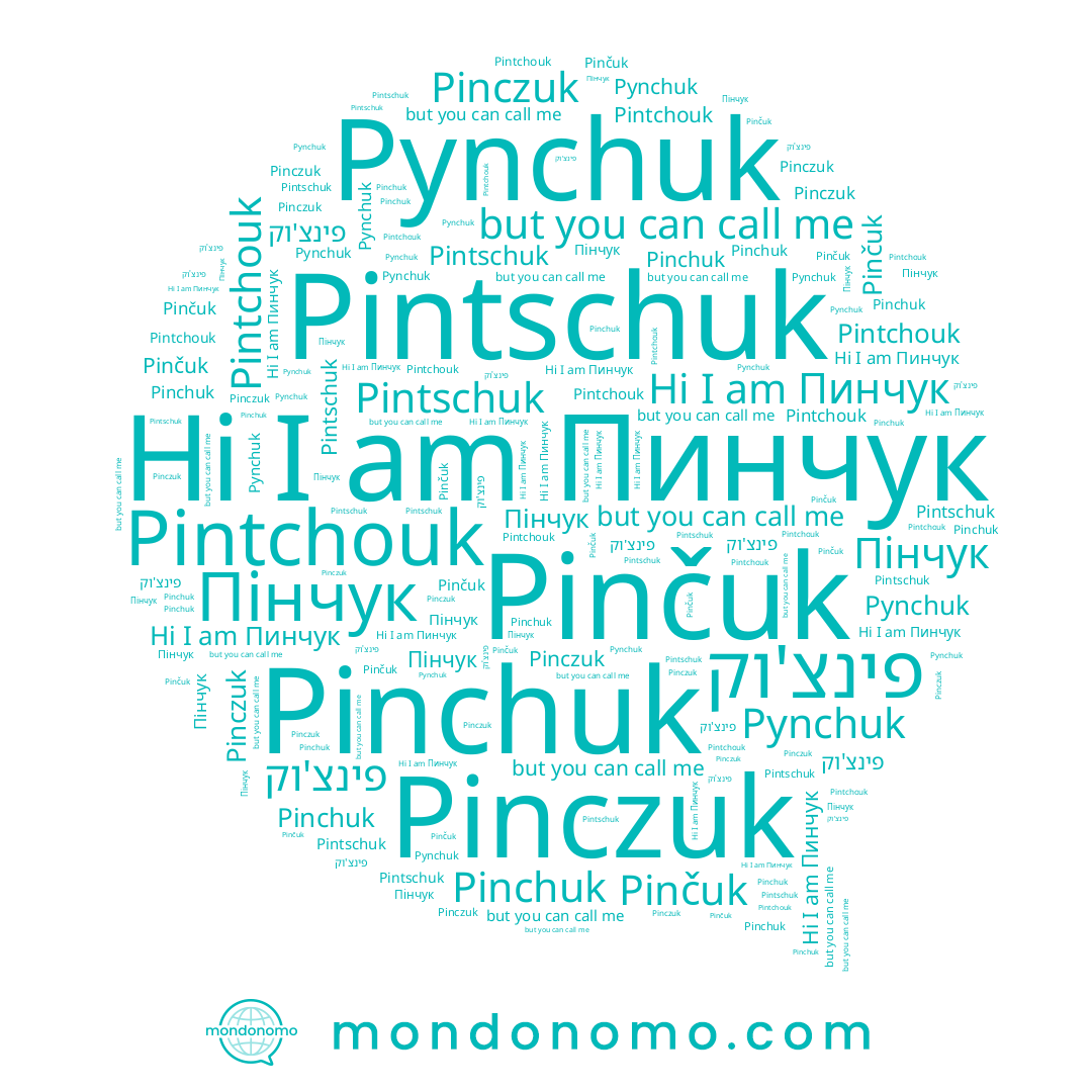name פינצ'וק, name Пінчук, name Pinczuk, name Pintschuk, name Pinchuk, name Пинчук, name Pintchouk, name Pynchuk