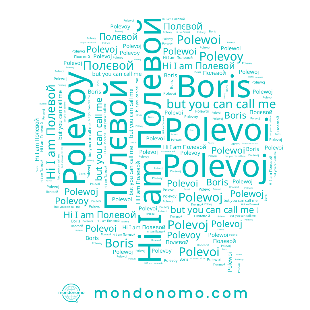 name Polewoi, name Полевой, name Polevoy, name Boris, name Polewoj, name Полєвой, name Polevoi