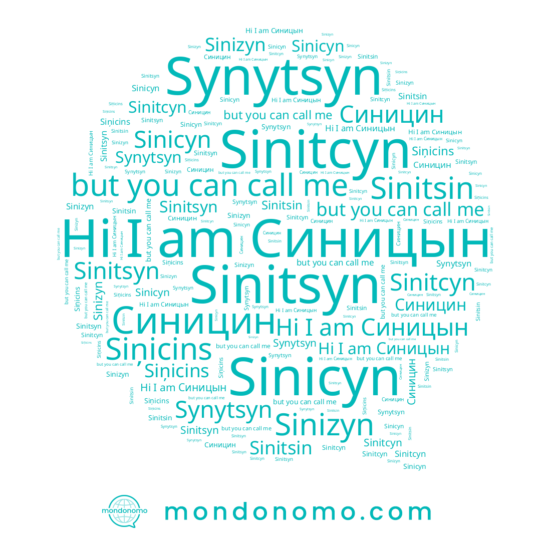 name Синицин, name Synytsyn, name Siņicins, name Синицын, name Sinizyn, name Sinitsyn, name Sinicyn, name Sinitsin, name Sinitcyn