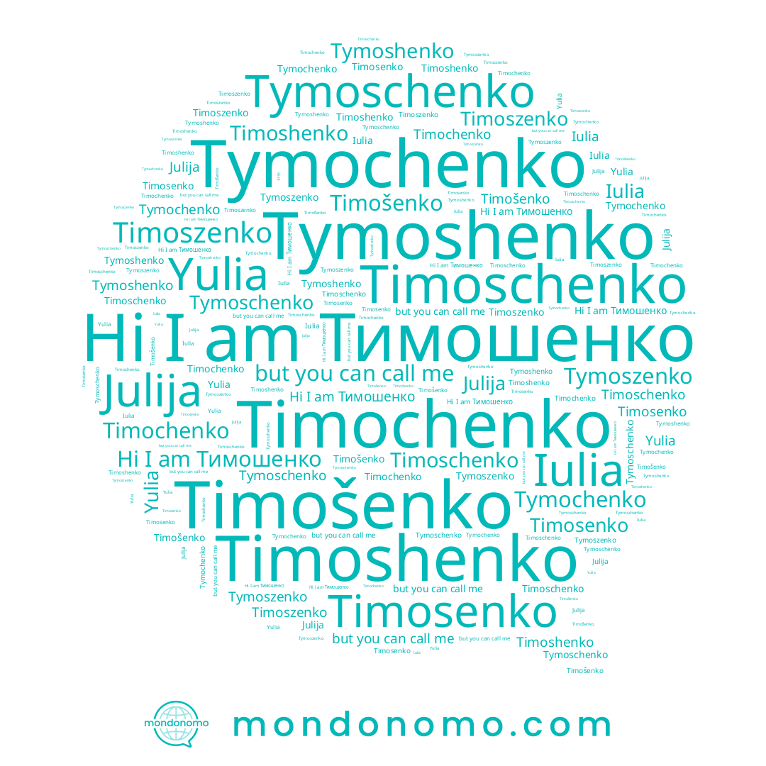 name Timochenko, name Iulia, name Julija, name Tymochenko, name Yulia, name Timosenko, name Tymoschenko, name Тимошенко, name Tymoshenko, name Tymoszenko, name Timošenko, name Timoshenko, name Timoschenko