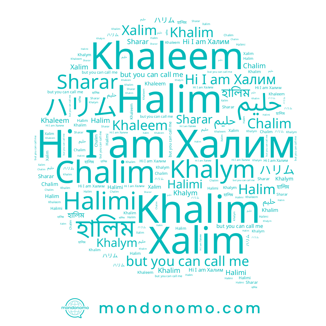 name Халим, name حليم, name ハリム, name Khalim, name Halim, name Khalym, name হালিম, name Chalim, name Halimi, name Khaleem