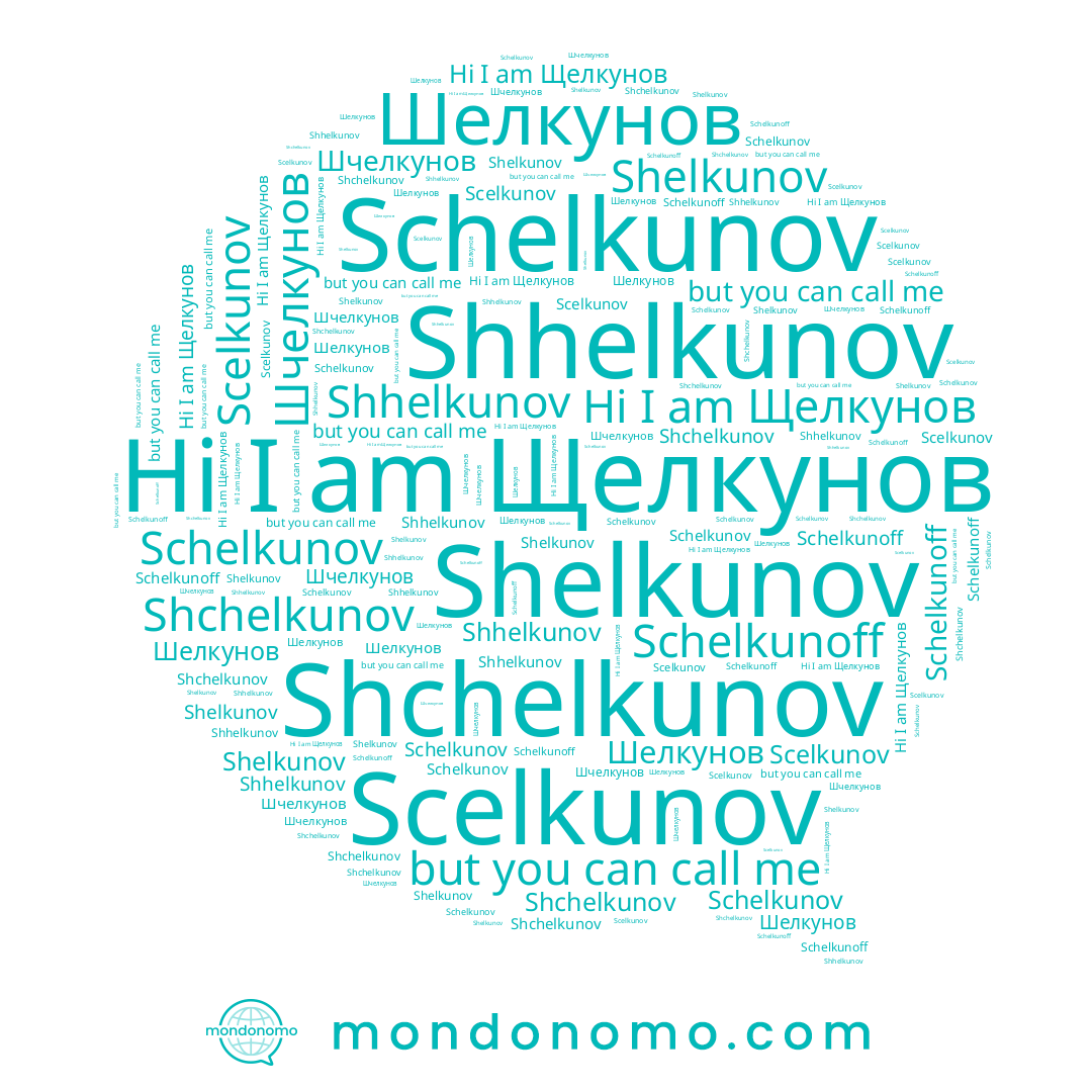 name Шелкунов, name Scelkunov, name Schelkunov, name Shchelkunov, name Schelkunoff, name Shelkunov, name Шчелкунов, name Щелкунов