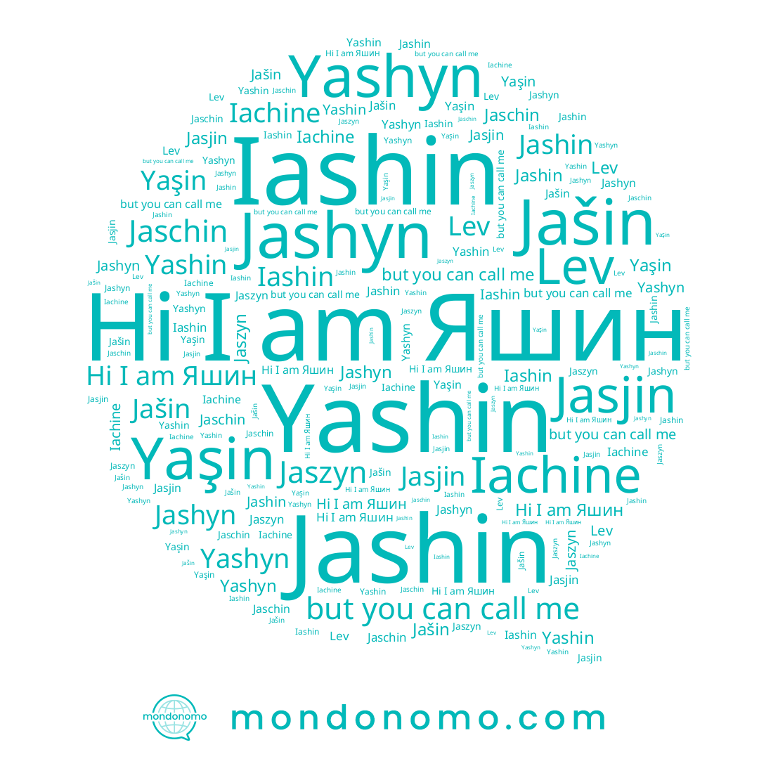name Jashin, name Iashin, name Jaschin, name Iachine, name Yashin, name Yaşin, name Jashyn, name Lev, name Яшин, name Jaszyn, name Yashyn