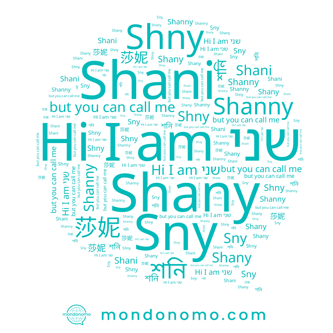 name শনি, name Sny, name Shani, name 莎妮, name Shany, name Shny, name שני, name Shanny