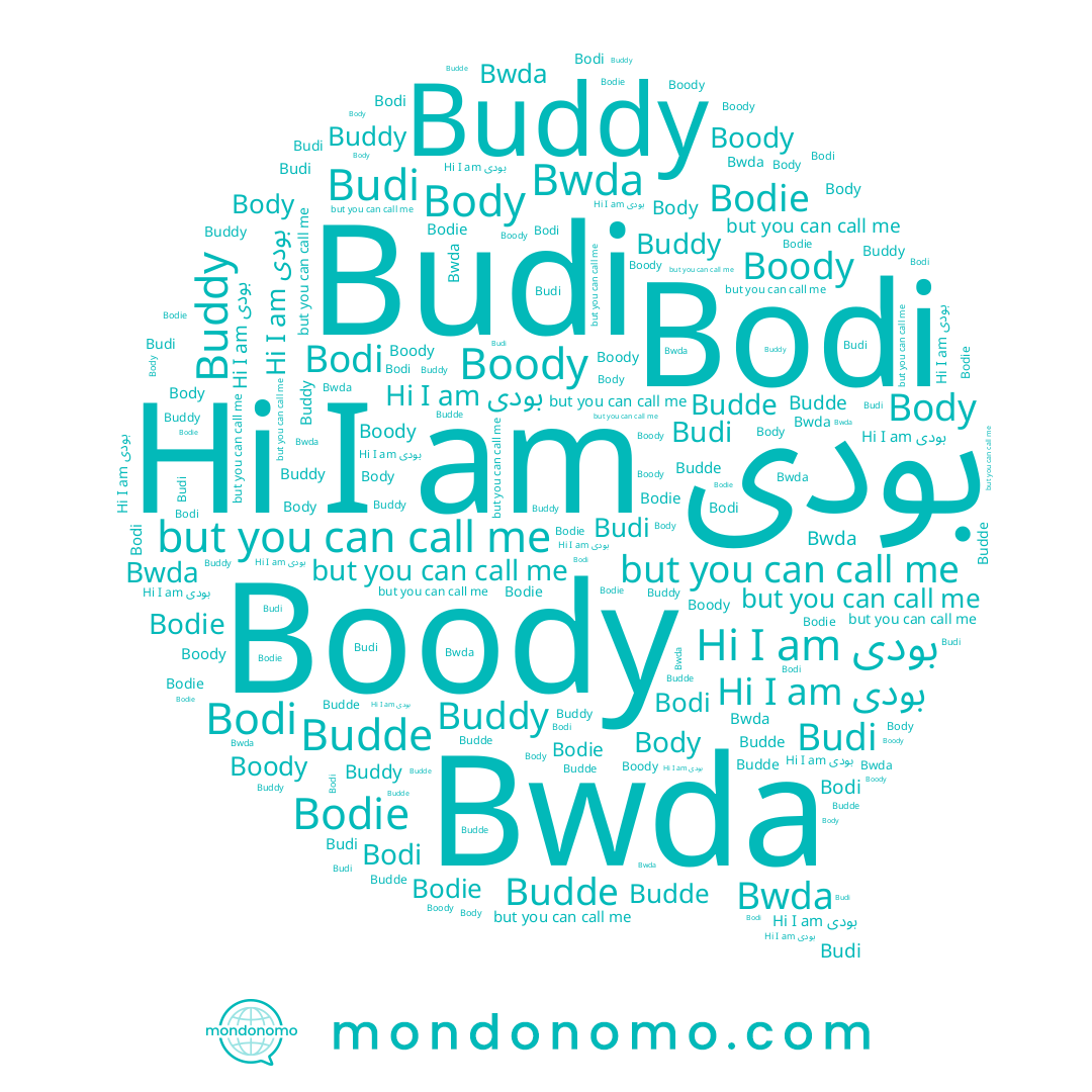 name Buddy, name Budde, name بودى, name Bodi, name Bodie, name Body, name Budi, name Boody
