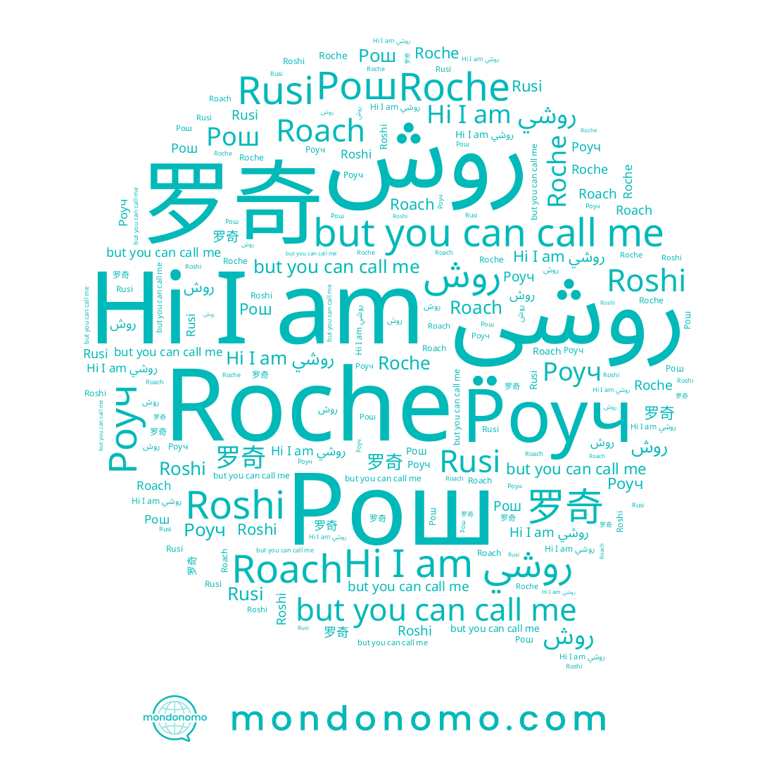 name Рош, name Roach, name Roshi, name روش, name Роуч, name 罗奇, name Roche, name روشي, name Rusi