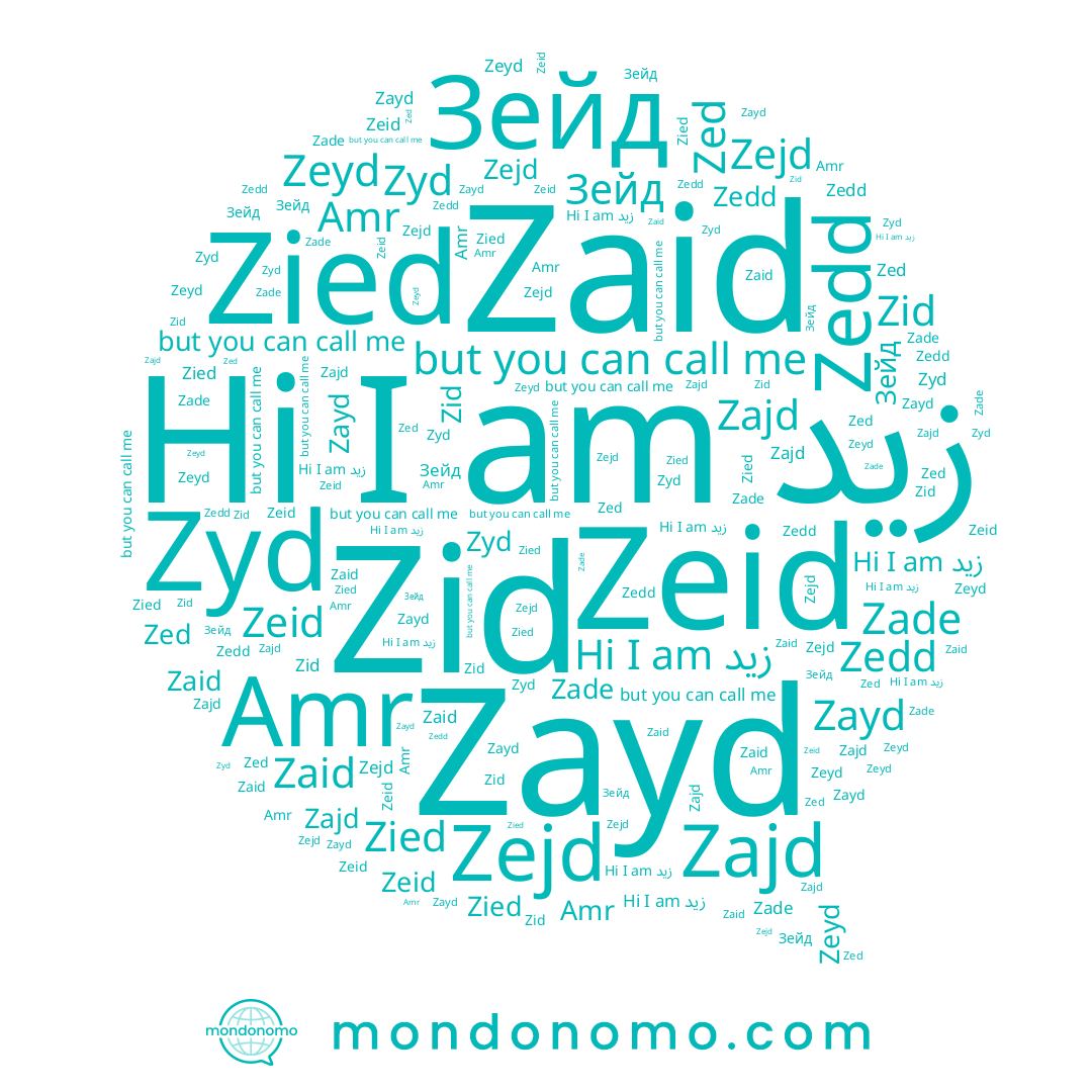 name Zied, name Zed, name Zayd, name Зейд, name Zejd, name Zaid, name Zeyd, name زيد, name Zajd, name Amr, name Zyd, name Zeid, name Zedd, name Zid, name Zade