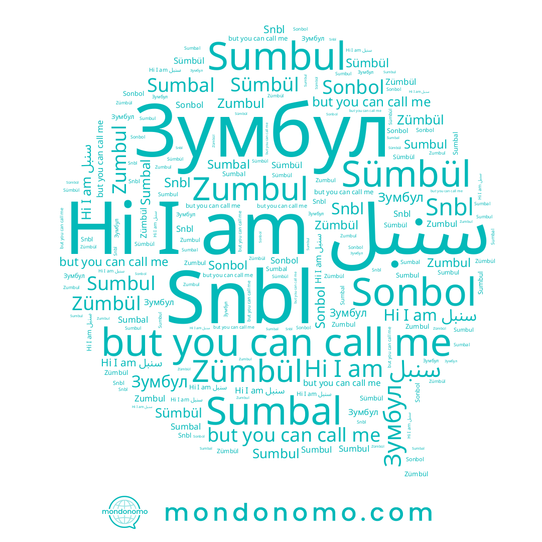 name Зумбул, name Zumbul, name Sonbol, name Sümbül, name Sumbal, name Sumbul, name Snbl, name سنبل, name Zümbül