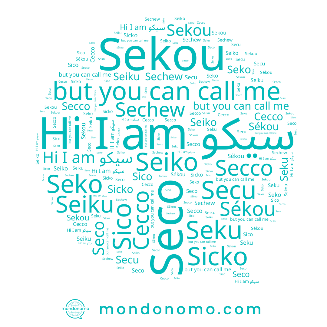 name Seco, name Sechew, name Seko, name Cecco, name Sico, name Sekou, name Seiko, name سيكو, name Secu, name Secco, name Seiku, name Sicko, name Seku, name Sékou