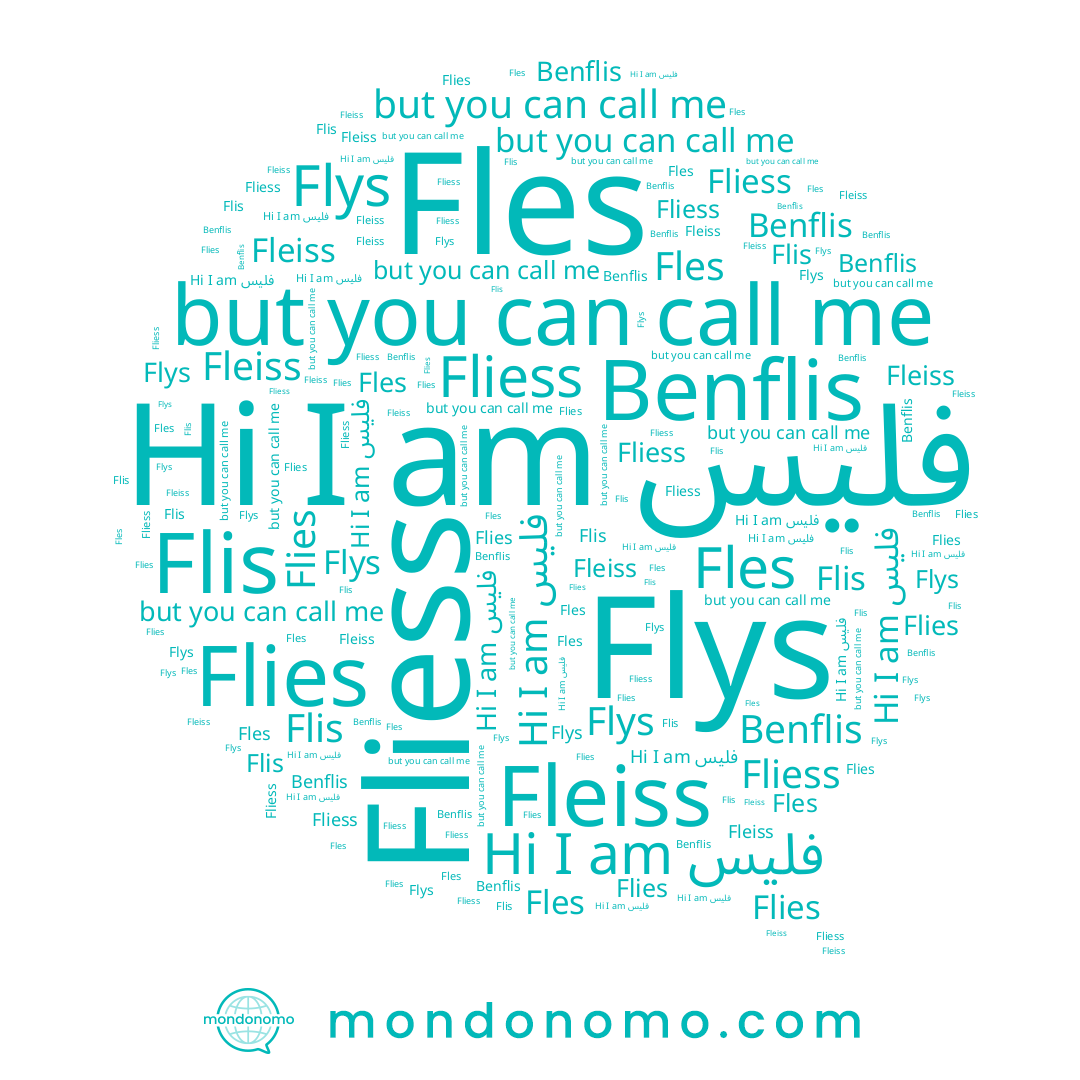 name Benflis, name Flis, name Fles, name Fleiss, name Flies, name فليس, name Flys