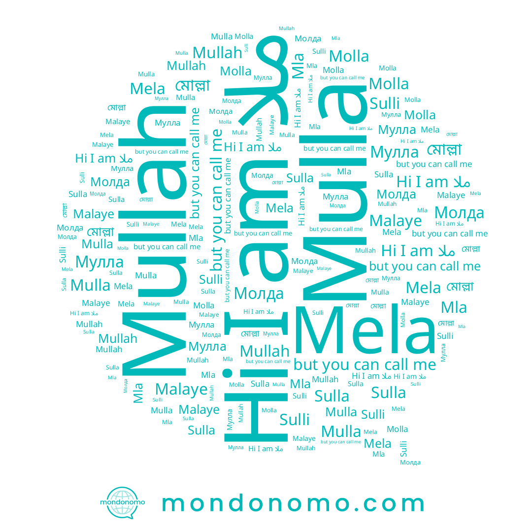 name Malaye, name Sulla, name ملا, name Молда, name Molla, name Mullah, name Mela, name Mulla, name মোল্লা, name Sulli