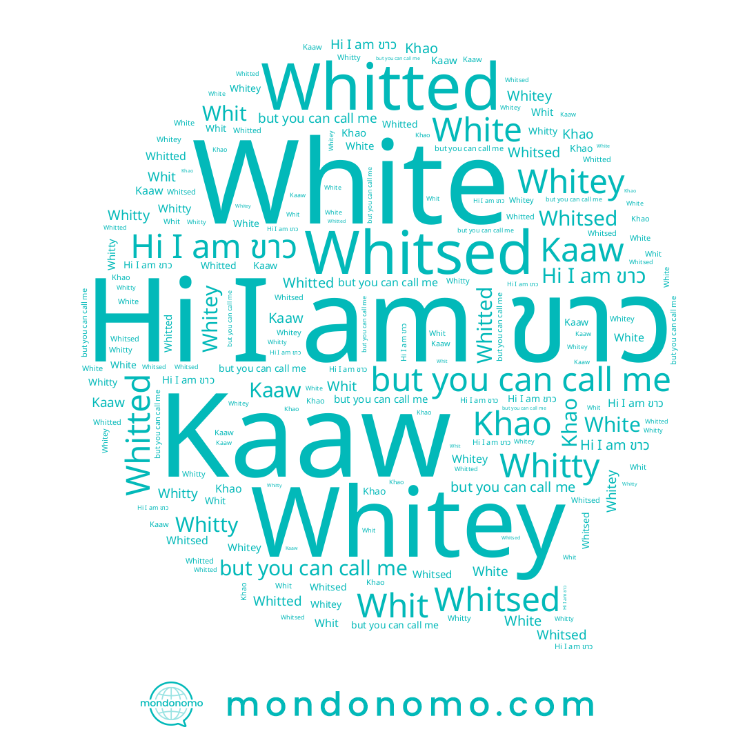 name Whitty, name Whit, name Whitey, name ขาว, name Whitted, name White, name Khao, name Whitsed, name Kaaw