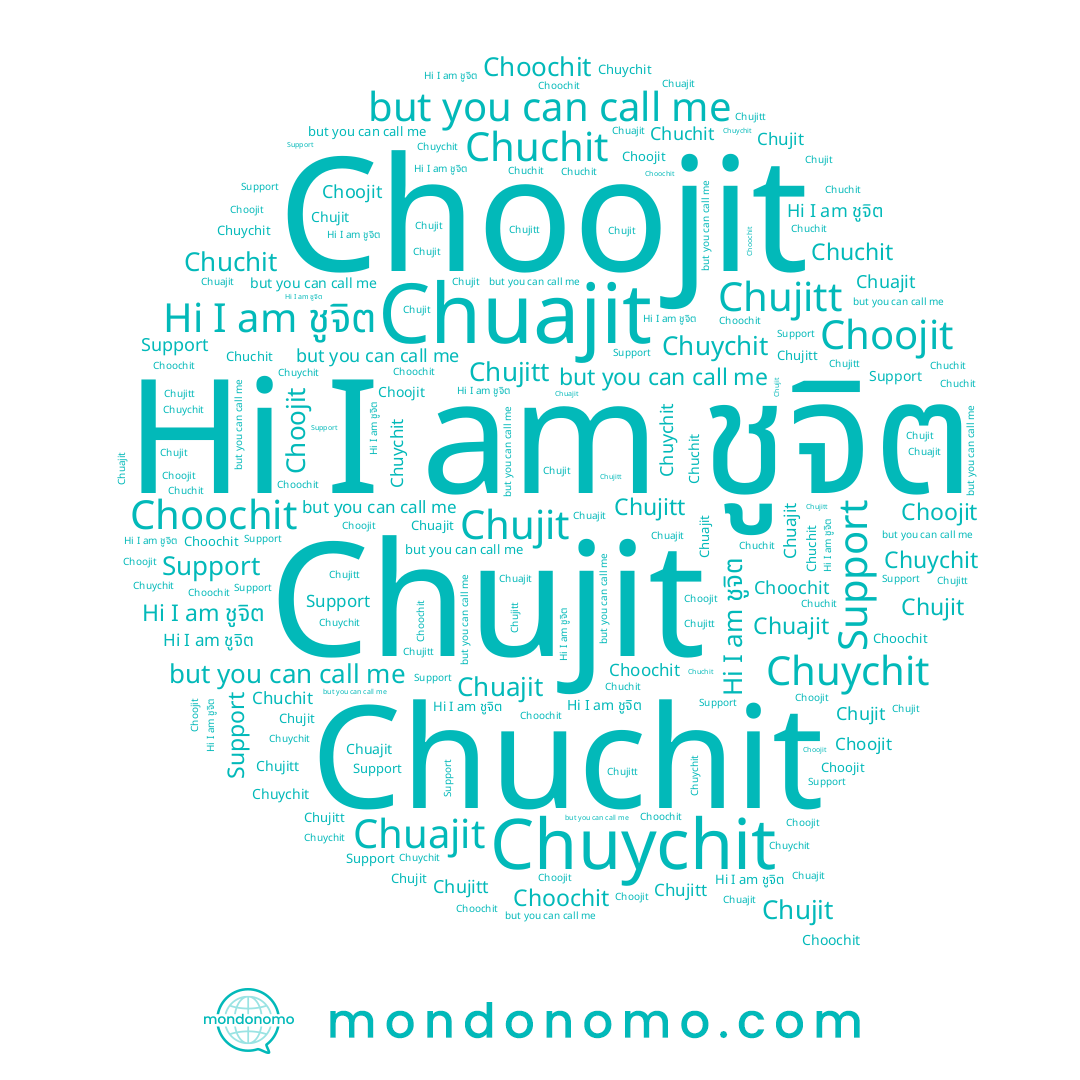 name Chuchit, name Choojit, name Chujit, name Choochit, name Chuajit, name Chuychit, name Chujitt, name ชูจิต