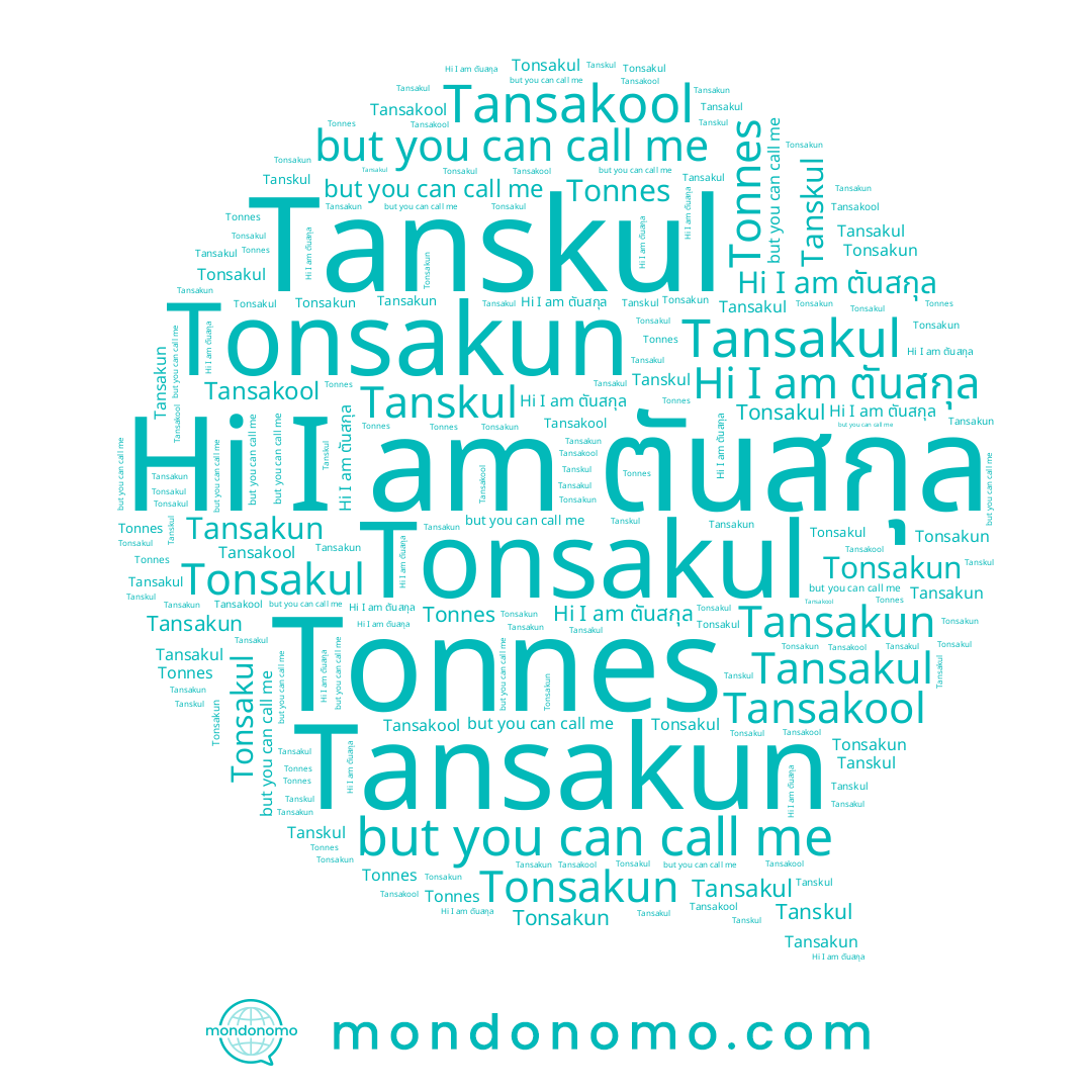 name Tansakul, name Tansakool, name Tonsakul, name Tansakun, name ตันสกุล, name Tonsakun, name Tanskul, name Tonnes