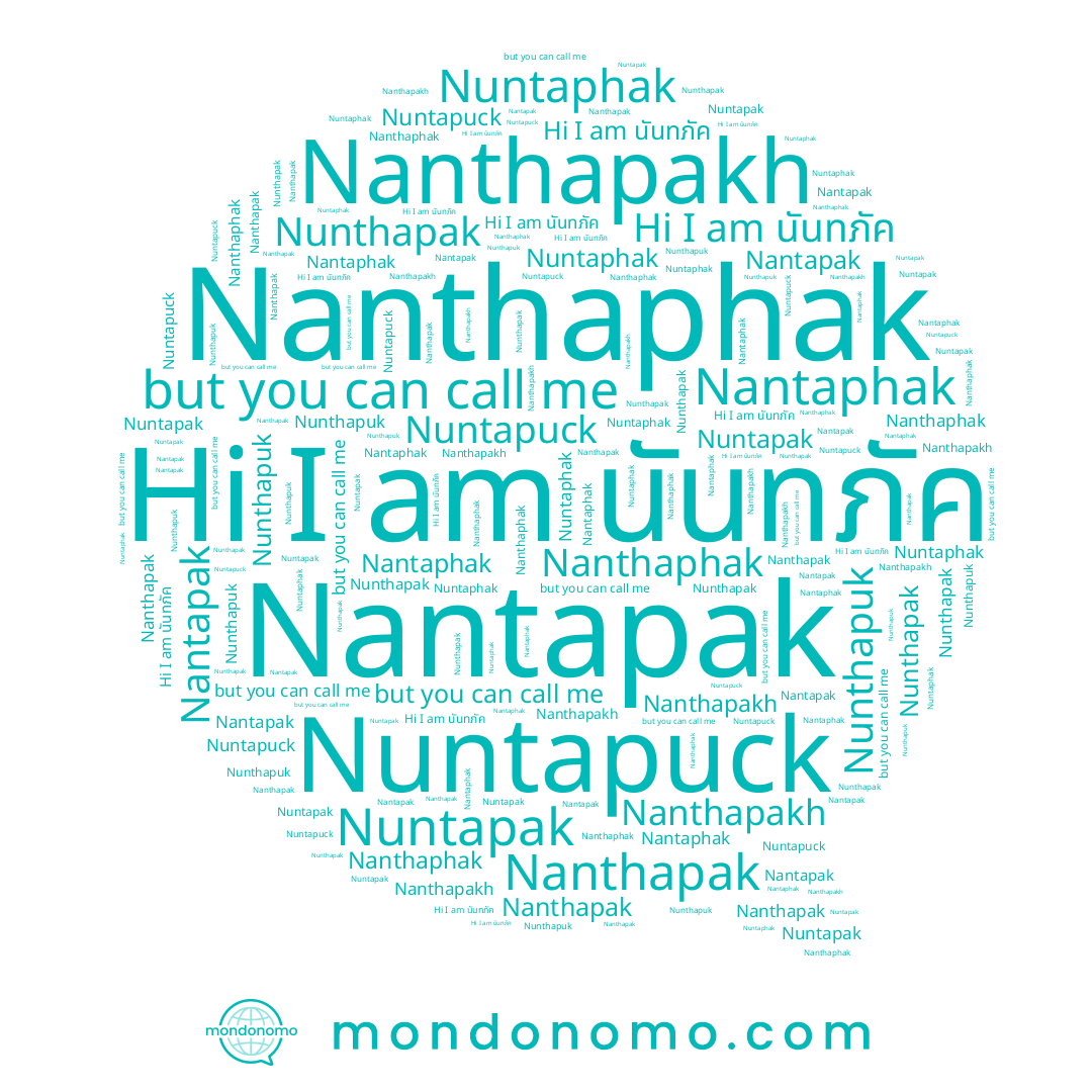 name นันทภัค, name Nunthapuk, name Nanthapak, name Nunthapak, name Nantaphak, name Nuntapak, name Nantapak, name Nuntaphak, name Nanthaphak, name Nanthapakh, name Nuntapuck