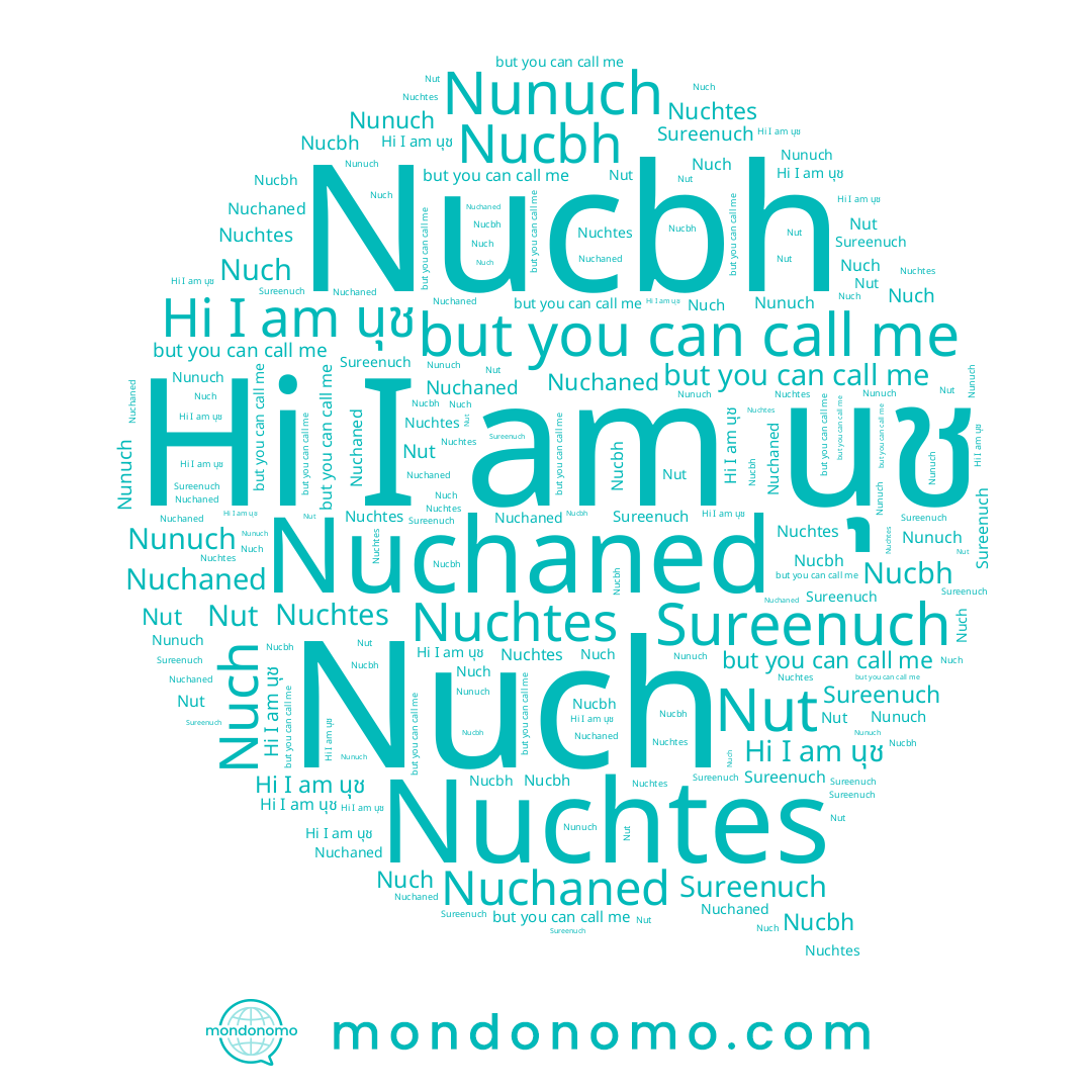 name Nuch, name นุช, name Nunuch, name Nuchtes, name Nuchaned, name Sureenuch