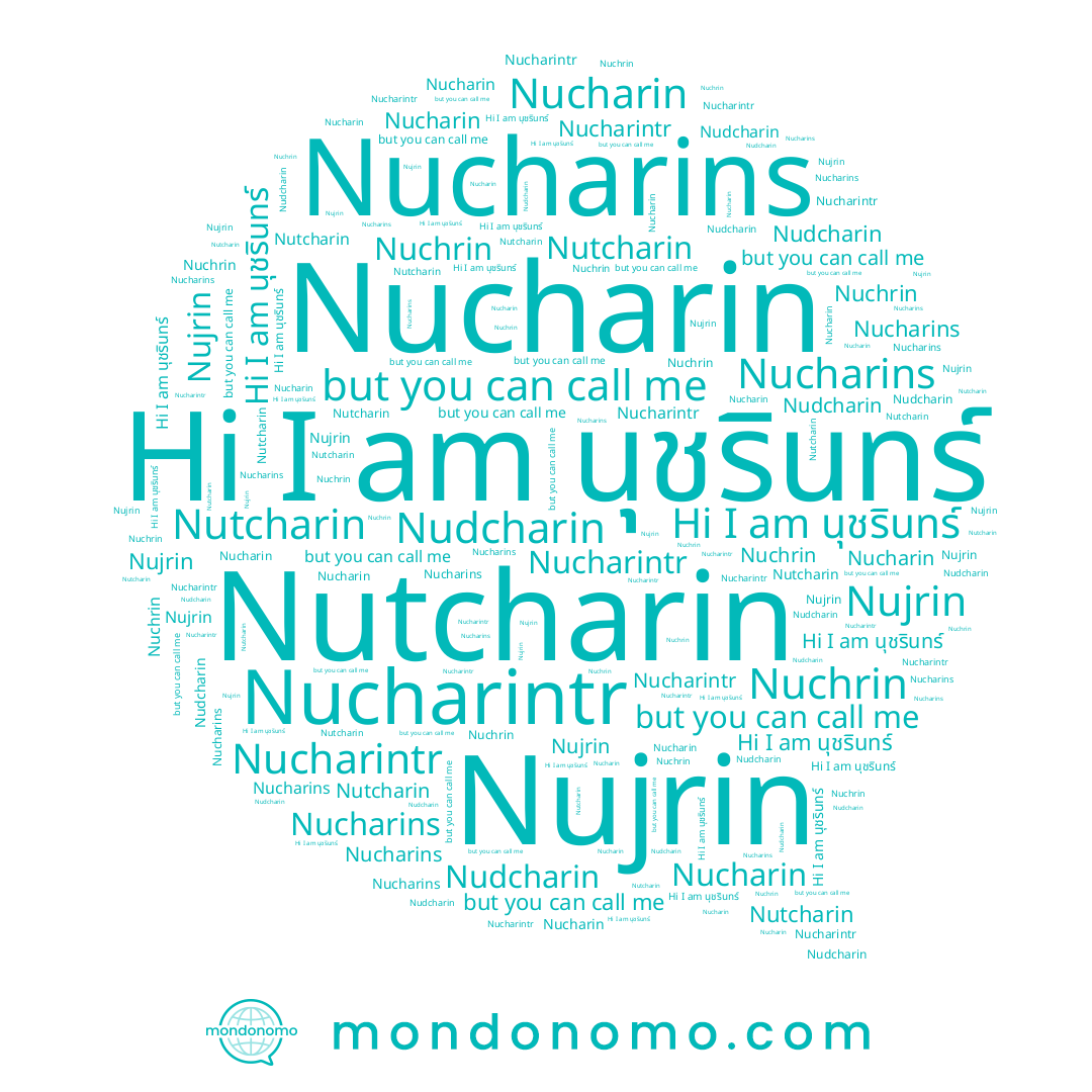 name Nucharins, name Nujrin, name นุชรินทร์, name Nuchrin, name Nudcharin, name Nucharin, name Nutcharin, name Nucharintr