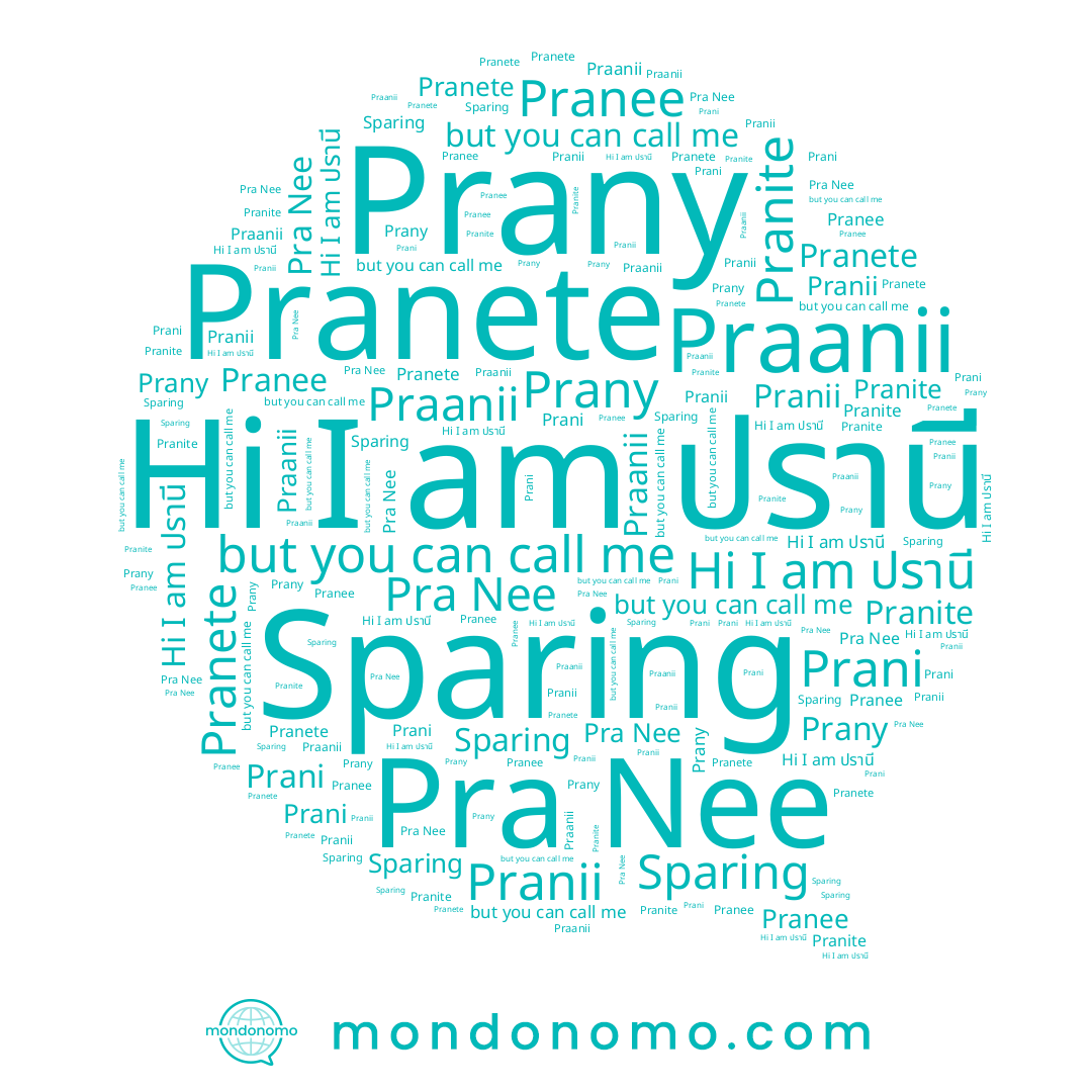 name Pranee, name Prany, name Prani, name Pranite, name Pranete, name Praanii, name Sparing, name Pra Nee, name ปรานี