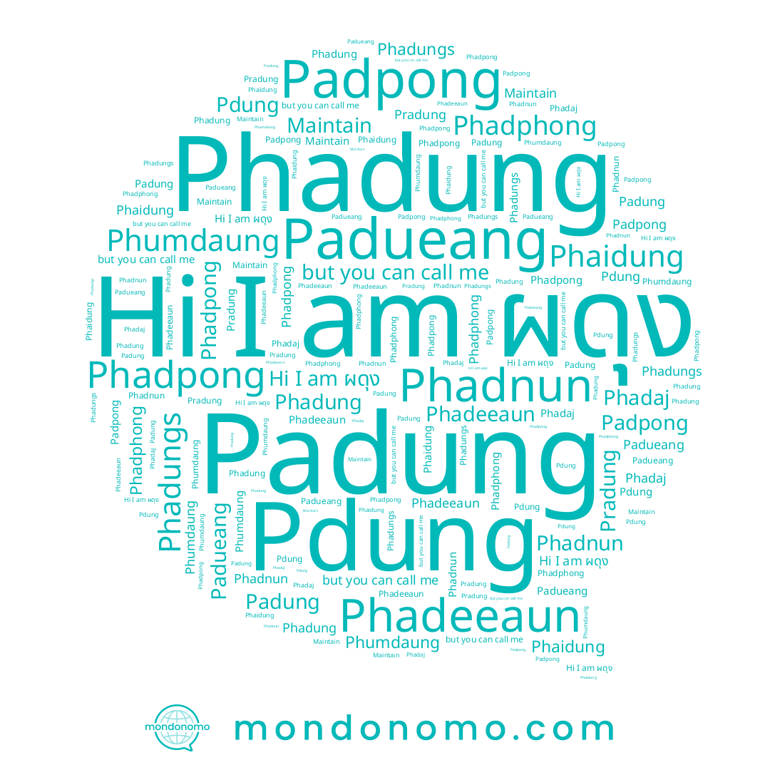 name Phadnun, name Padueang, name Phaidung, name Pradung, name Padung, name Phadpong, name Phadphong, name Pdung, name Phadung, name Padpong, name Phadungs, name Phadaj, name Phumdaung, name ผดุง, name Phadeeaun