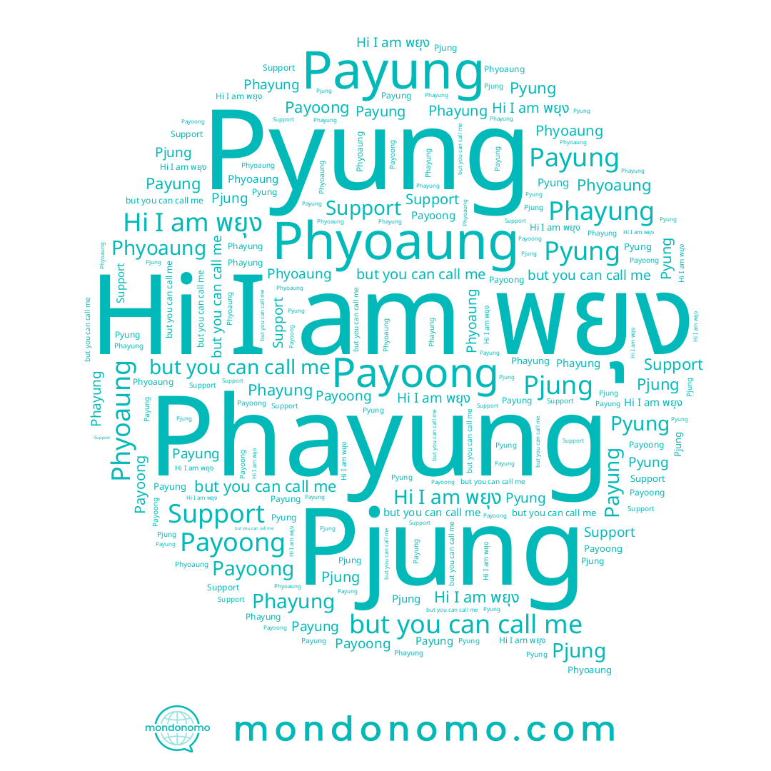 name พยุง, name Pyung, name Pjung, name Phyoaung, name Phayung