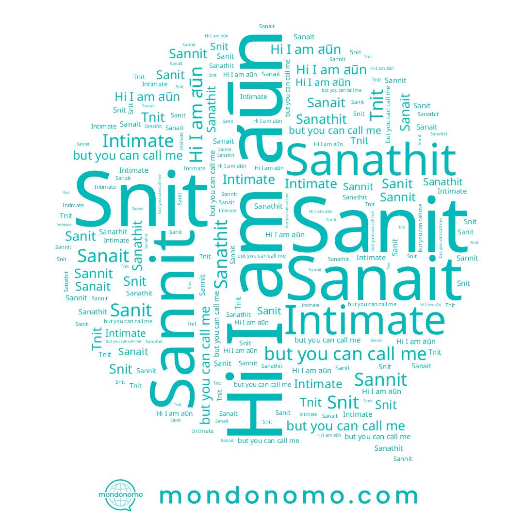 name Snit, name Sanit, name Tnit, name Sanathit, name สนิท, name Sanait, name Sannit