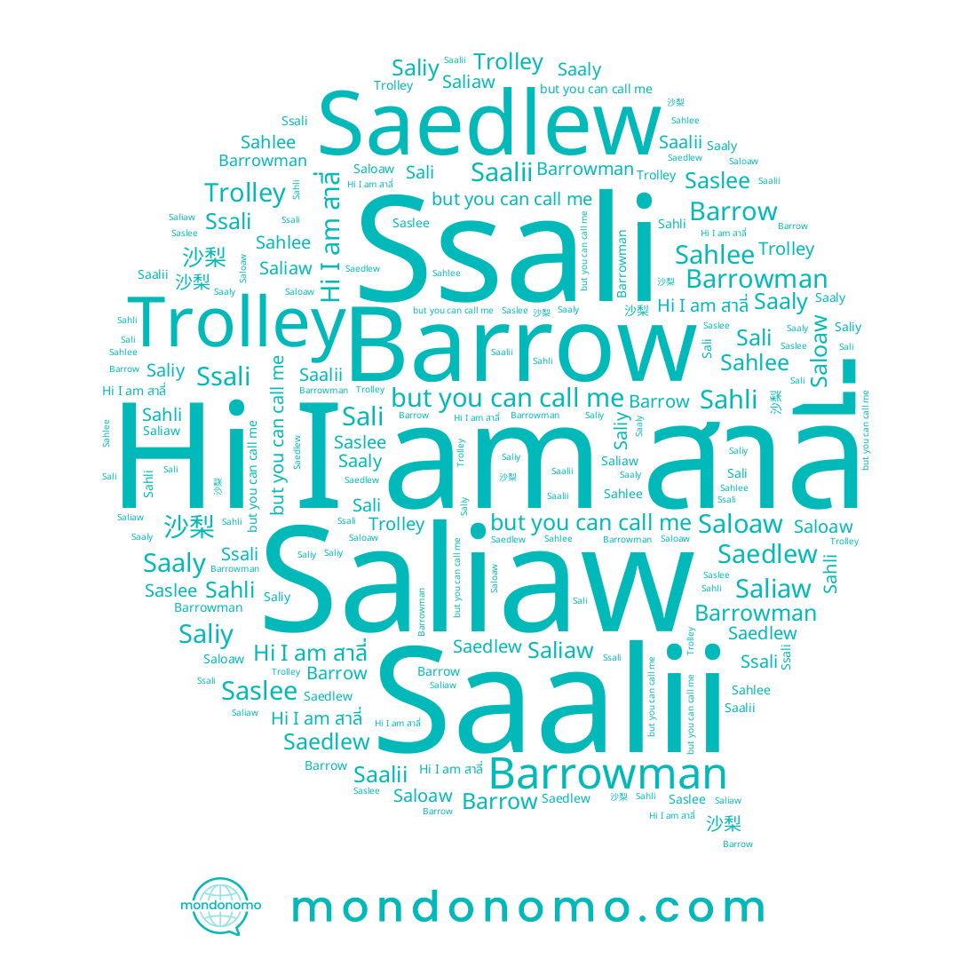 name Barrowman, name Saliy, name Ssali, name Saliaw, name Sahlee, name 沙梨, name Saloaw, name Sahli, name Saedlew, name Saslee, name Barrow, name Saalii, name Saaly, name Sali, name Trolley