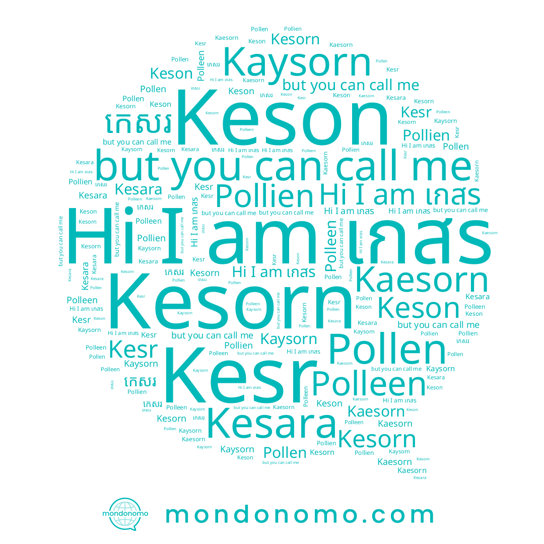 name Keson, name เกสร, name Polleen, name Kaesorn, name Kaysorn, name Kesr, name Kesara, name Pollen, name Kesorn, name កេសរ, name Pollien