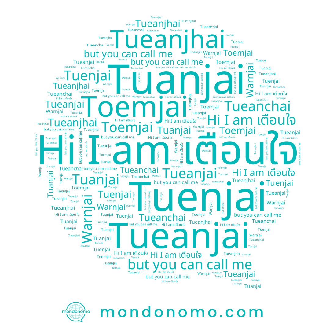 name Tueanjhai, name Tuenjai, name เตือนใจ, name Warnjai, name Tueanjai, name Toemjai, name Tueanchai, name Tuanjai