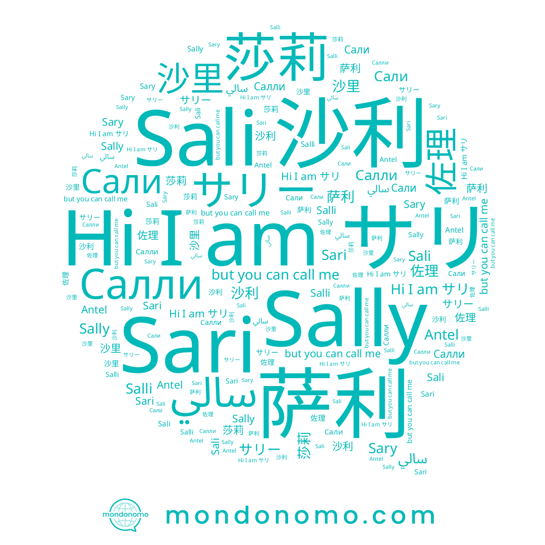 name Салли, name 佐理, name サリ, name Sary, name 沙里, name Salli, name Antel, name 萨利, name 莎莉, name Sali, name サリー, name Sari, name 沙利, name سالي, name Sally